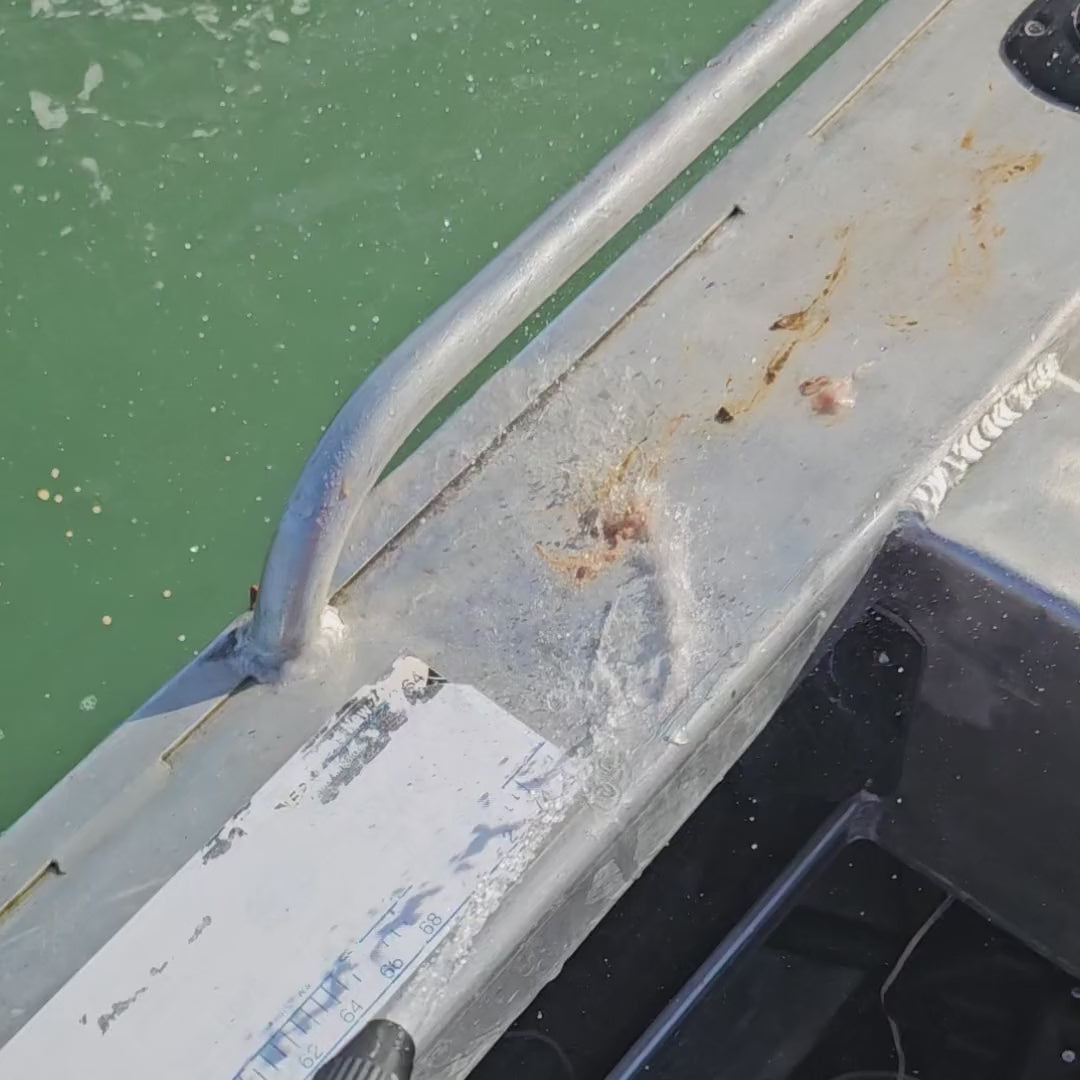 Washing down a boat with the SaltRinse pump