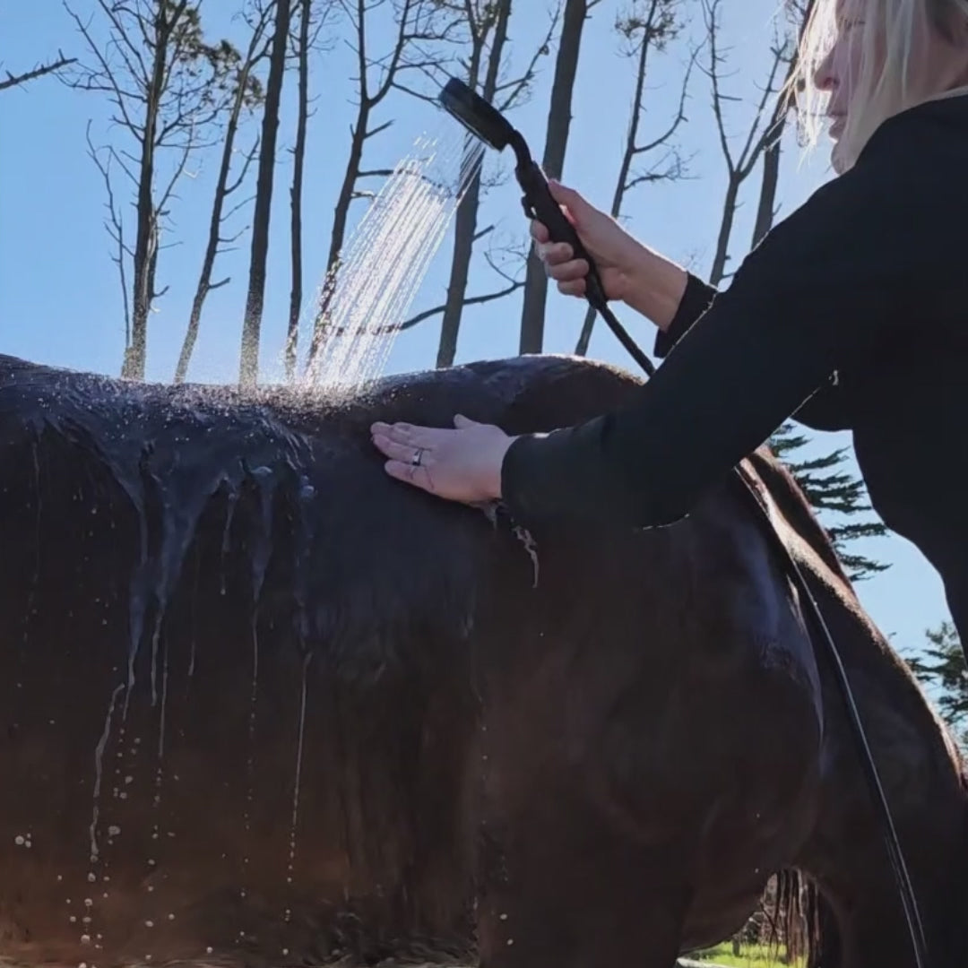 Horse being rinsed with the Compass & Creek portable shower